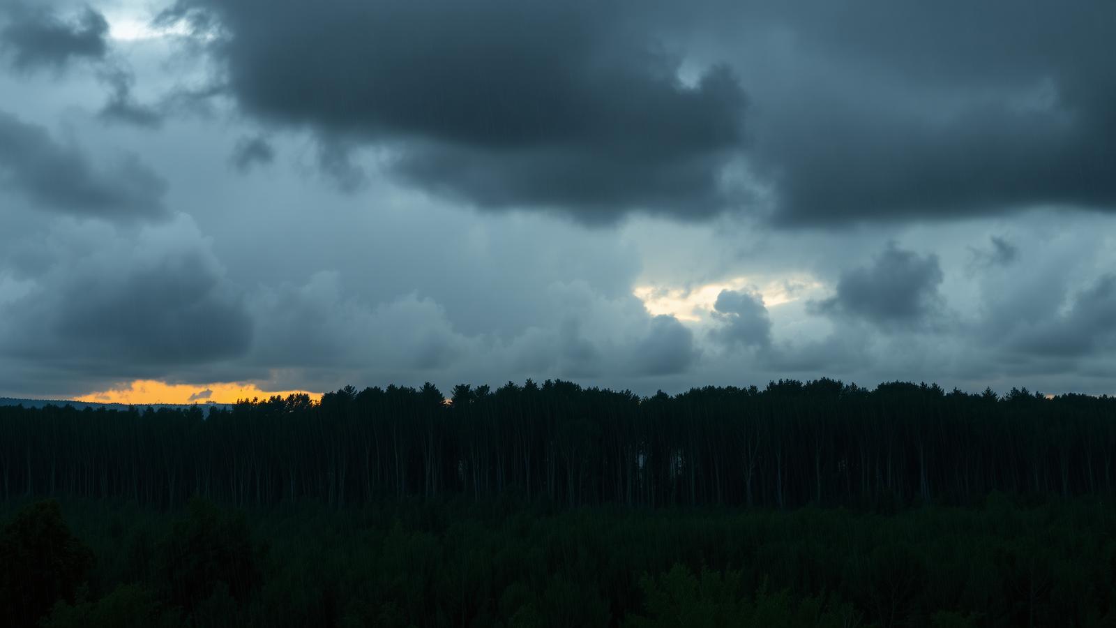 Storm clouds gathering over a dark treeline